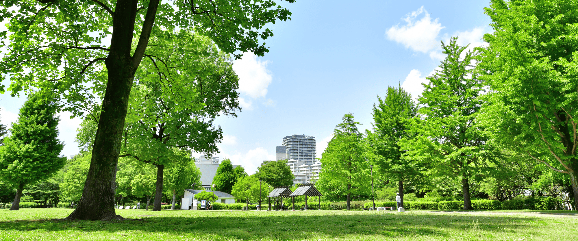 国分寺周辺の公園